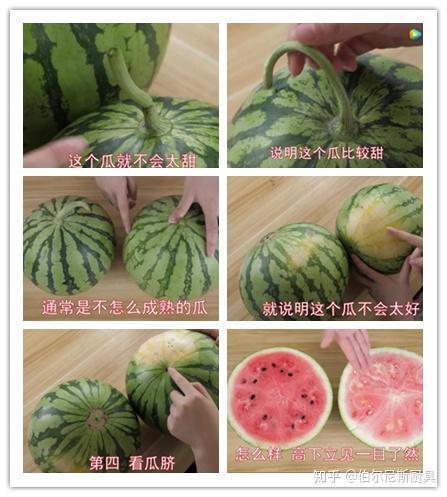 吃瓜视频好看吗,视觉盛宴，精彩无限