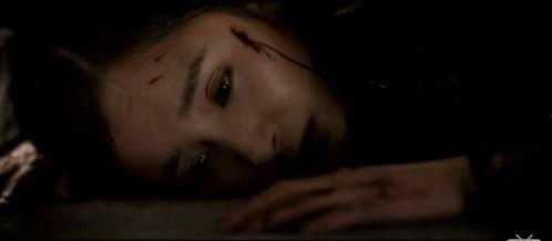 每日吃瓜台词,笑看娱乐圈风云变幻