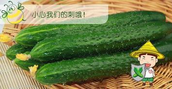 吃瓜万六,网络红人的崛起与影响力