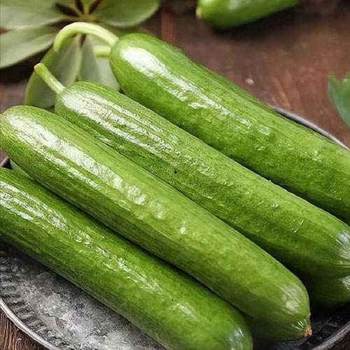 吃真人瓜,揭秘真人瓜背后的真相与争议