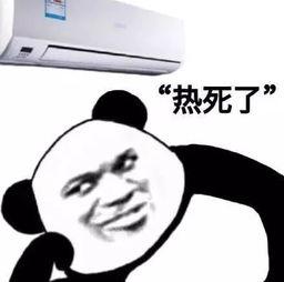 吃瓜群主搞笑视频,群主搞笑视频带你笑翻夏日