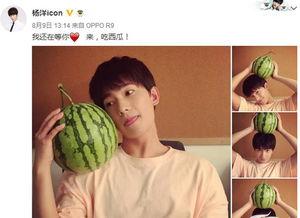 明星吃瓜在哪看,热门平台大揭秘