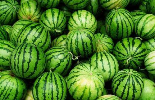 夏天必须吃瓜吗,吃瓜解暑必备攻略
