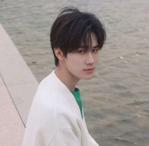 张真源被吃瓜,揭秘娱乐圈背后的真相与争议