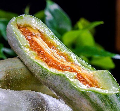 楼上种瓜楼下吃瓜,邻里共享的田园生活画卷