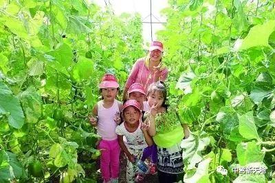 新天地吃瓜事件