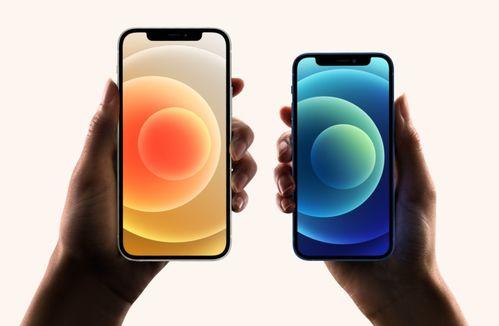 苹果手机吃瓜视频,揭秘科技圈幕后趣闻