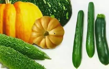 卾州吃瓜,一场别开生面的“吃瓜”之旅