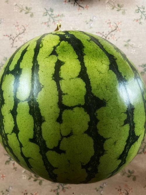 晚上吃半个小瓜,轻松享受健康美味