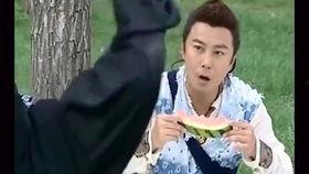 吃瓜小鱼儿,揭秘娱乐圈背后的那些事儿