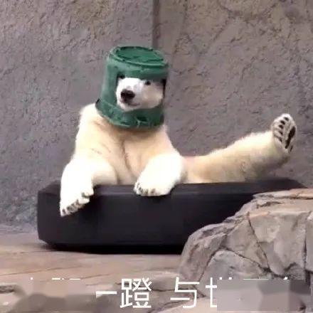 吃瓜头像 沙雕,揭秘娱乐圈幕后风云