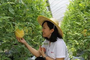 青州吃瓜职业女子,揭秘吃瓜职业女子的独特魅力