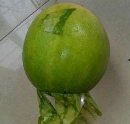 缅甸吃瓜事件,揭秘背后真相与反思