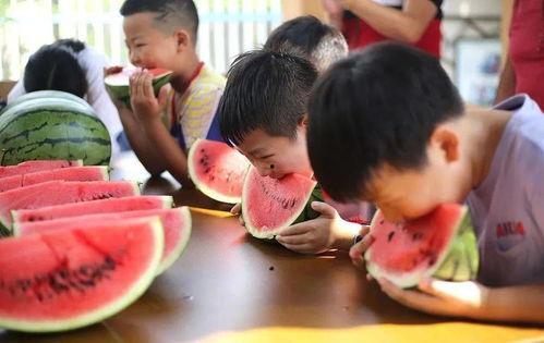 儿童吃瓜比赛,儿童吃瓜大赛欢乐上演